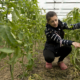 FOODSHIFT2030