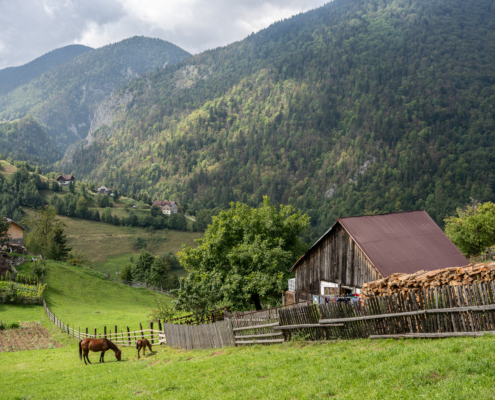Foto_09
