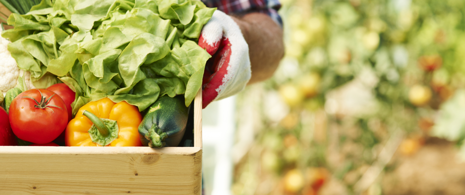 Close up of box with ripe vegetables